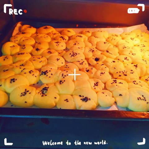 水晶幼儿园烘焙班总结与回顾