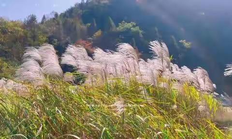 咸丰研培中心专技管理人才跟岗实践(四)