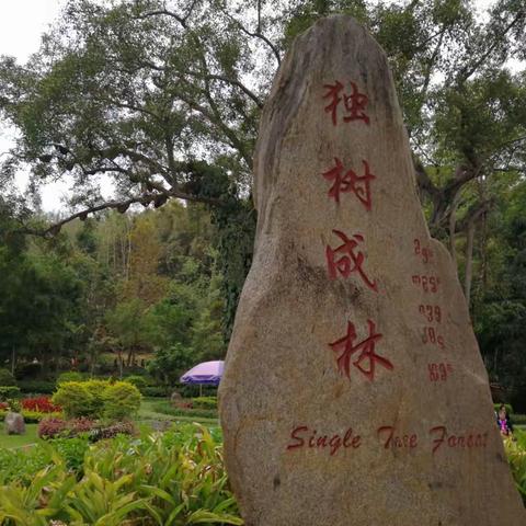 2018年4月到云南游（四）独树成林，西双版纳总佛寺，云南民族村