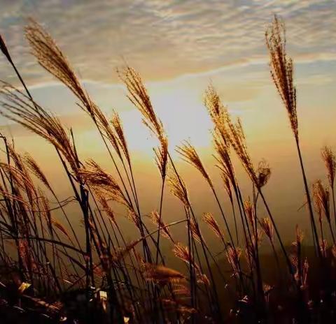 又是一年秋草黄，背起行囊去远方—11.15-11.19日徒步江西萍乡武功山、湖南南岳衡山行脚祈福游记。