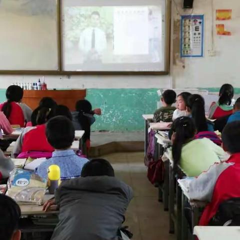 庙头镇中心小学组织全体师生观看2018年全国中小学生防溺水安全教育