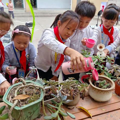 守护绿植·体验农趣——江滨小学三（5）班劳动实践活动