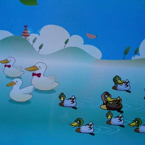 快乐比一比多和少！😃😃