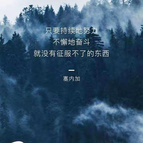 你的进步，我们一起见证