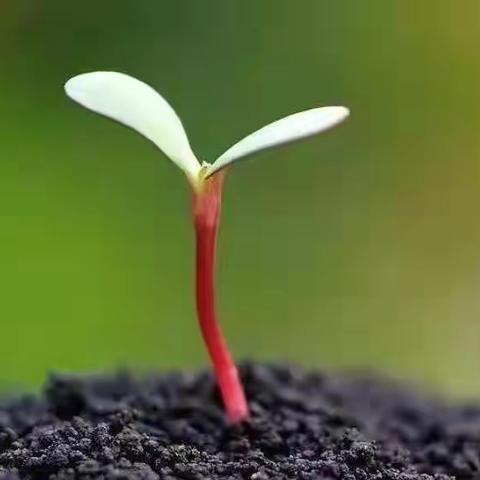 【海贝双语幼儿园】防火🔥演练👍筑牢安全防线✊