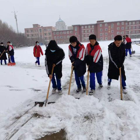 校园清雪记 温情暖寒冬