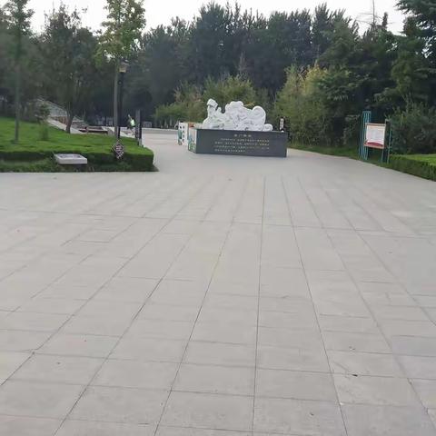我的丰富的暑假生活