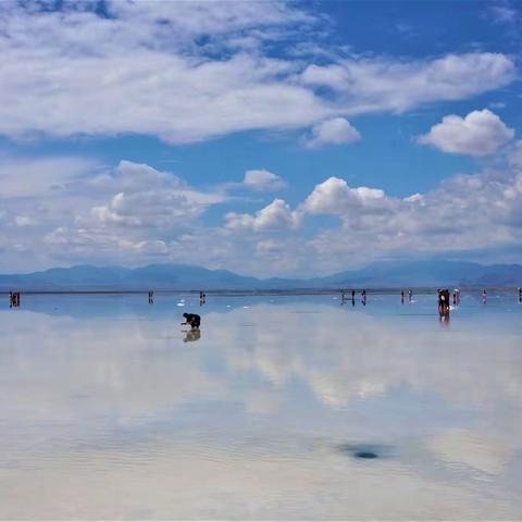 我见甘、青（五）— 茶卡盐湖、青海湖、塔尔寺