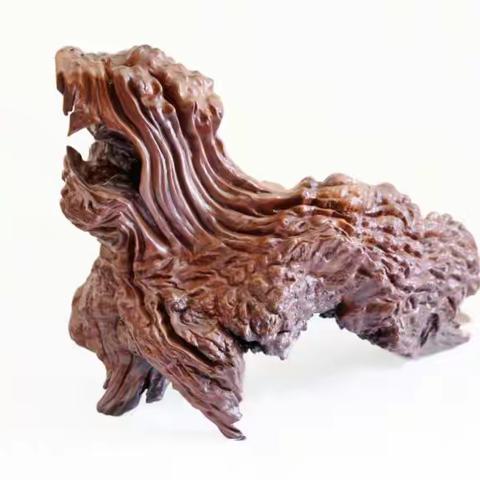 根艺达人尹长青，巧将朽木焕新生，——河南省高级根艺师尹长青根艺作品欣赏