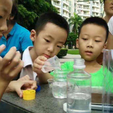 蔚蓝爱眼植物观察团小学生组20170906-水晶植物标本