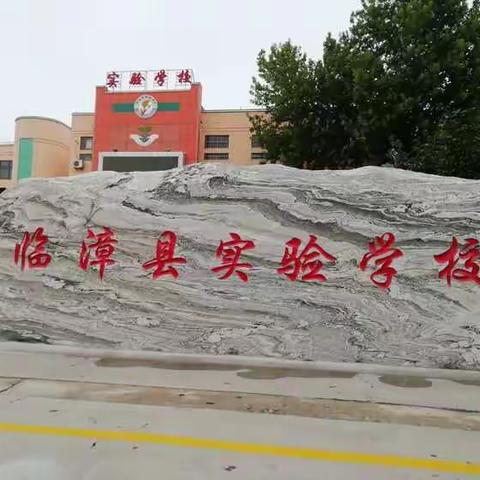 信息技术赋能课堂，校本研修引领成长