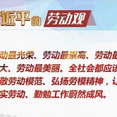 劳以启智，动以润心——龙江中心学校开展劳动主题教育活动