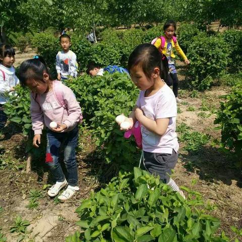 世纪阳光幼儿园果果班慧耕园一日游