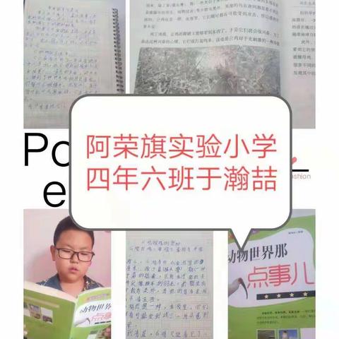 读书的孩子最可爱——阿荣旗实验小学四年六班