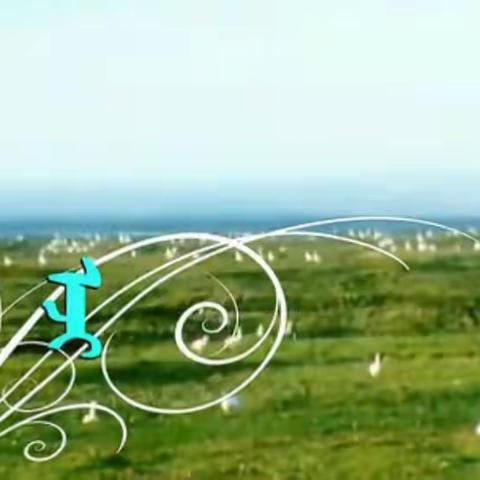 母亲节快乐！