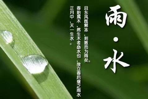 “雨水唤春来，万物始复苏”｜奋飞幼儿园二十四节气“雨水”活动