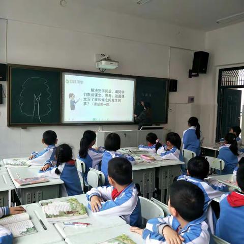 麻雀身体小，母爱力量大