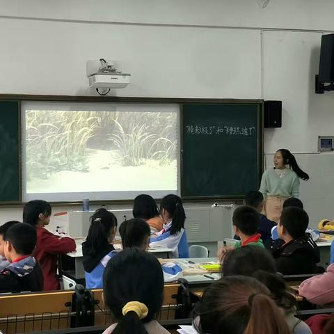 爱无定式，教无定法