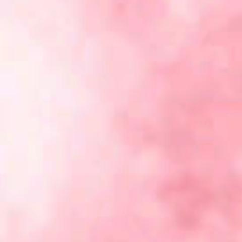 “疫情防控首当冲•巾帼建功看四幼”庆三八表彰活动