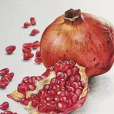 “红红的石榴”——爱乐思幼儿园中五班课程故事