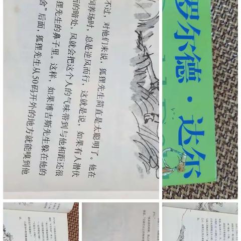 我是二十七小学，三年级三六班的刘美妍。下面我给大家分享一本书。叫了不起的狐狸爸爸