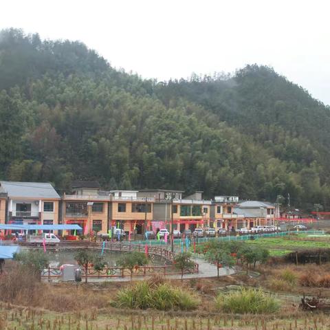 春节前夕，都市频道记者来了上坪村民小组