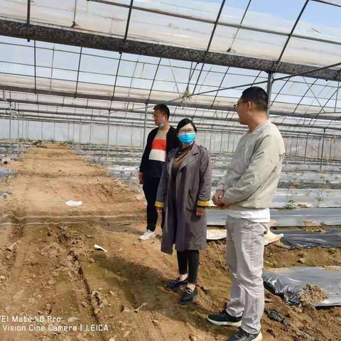 严把农产品质量安全关 确保“舌尖上的安全”