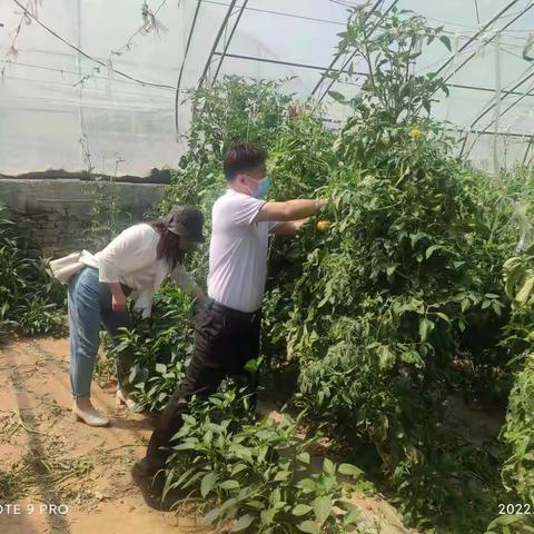 配合做好陕西省第二次例行监测抽样及西安市甜瓜专项抽检工作