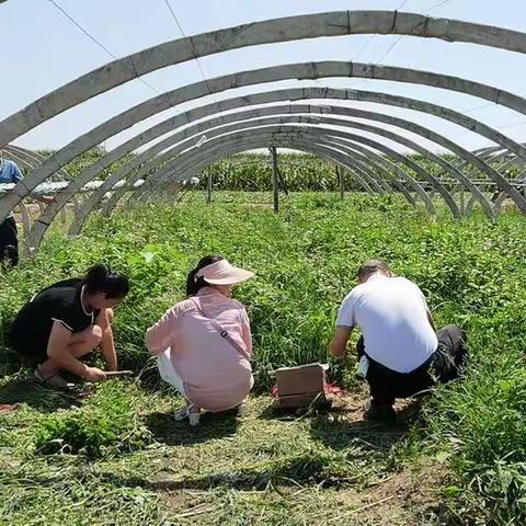 以“治违禁 控药残 促提升”三年行动为抓手 促进农产品质量安全再提升