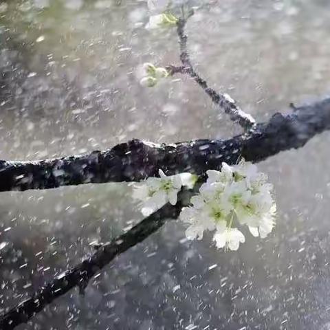 特殊的假期  别样的风采