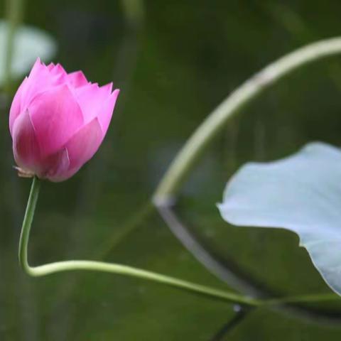 想全面做规范，服务求实进取