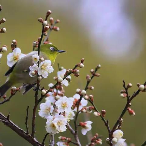 他山之石可以攻玉——2019年宁津县中考数学备考会