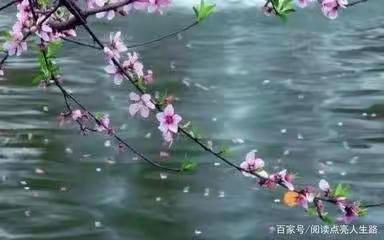 雨霖铃·寻春