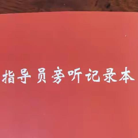 临漳县ZJ指导员开展旁听活动