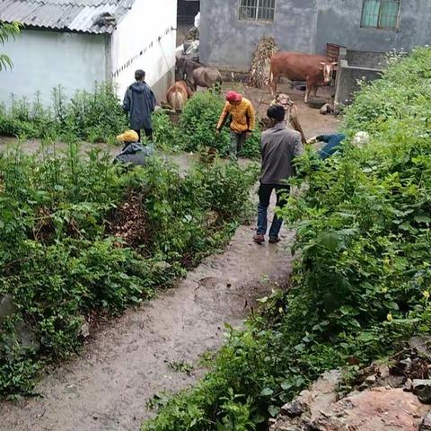 加克村委会人居环境提升日常工作