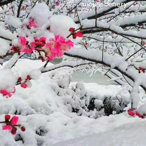 应对极端天气及疫情防控安全——致家长的一封信