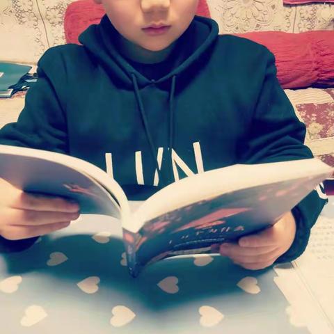 四《8》班     李启源     假日掠影