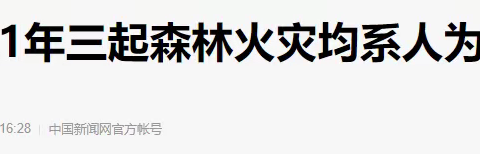 思诚分校清明假期安全教育温馨提示