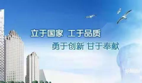 叶县2023年绿地广场停车场工程项目日报（3月25日）