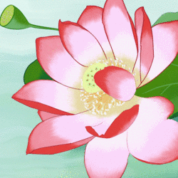 日积月累，厚积薄发