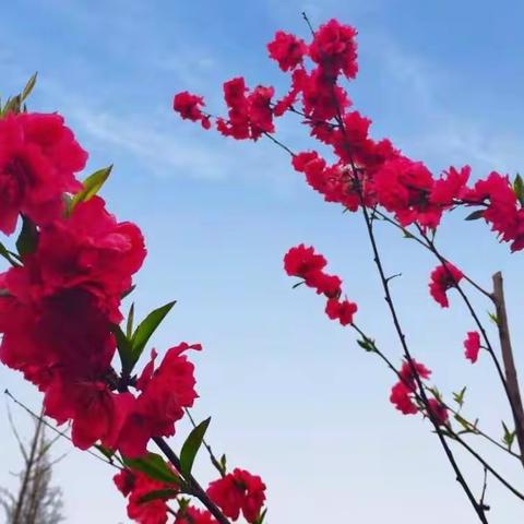 快乐暑假               秀我风采~~~宝外2021暑假作业展