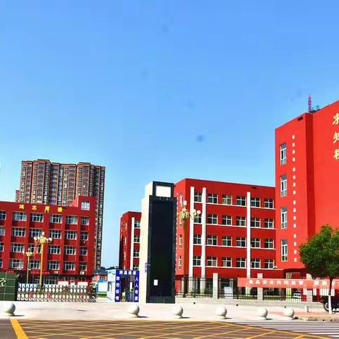 踏烈日骄阳，展青年风貌——记政北中学初一（11）班军训之旅