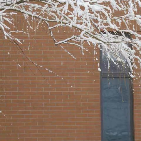 2020元月6号小寒*❄️雪