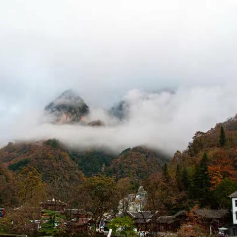 光雾山赏秋之桃园景区