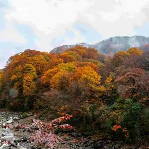 雨中光雾山
