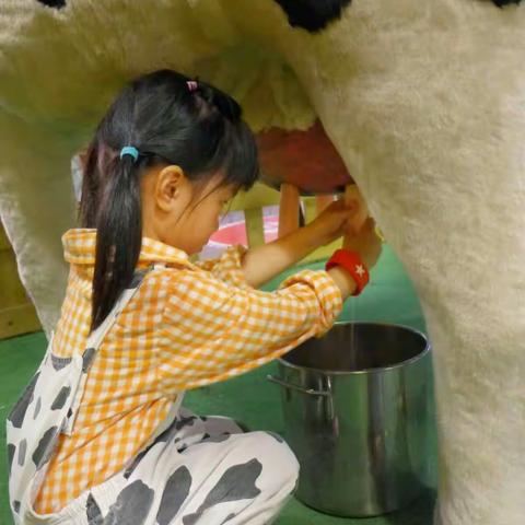 快乐职业体验 感受生活乐趣