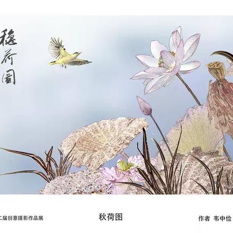 广西第二届创意摄影作品展