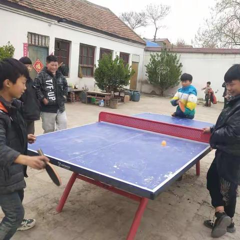 第三周工作动态