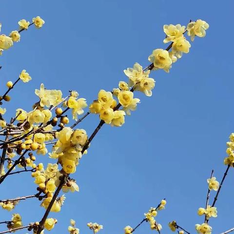 四明小学第四周工作动态