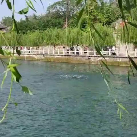 百泉湖重见往日风彩